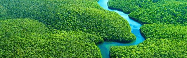 Aiming to use drones to repopulate forests, French startup MORFO raises €4 million in its first formal fundraise