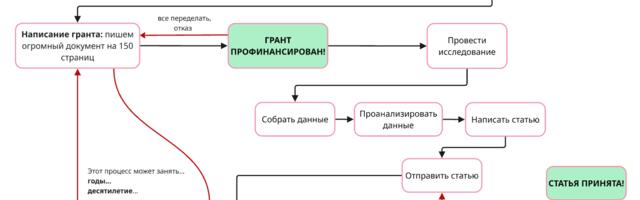Как проводятся научные исследования: взгляд с высоты птичьего полета