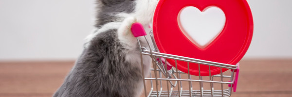 Microsoft brings new shopping tools to its Edge browser