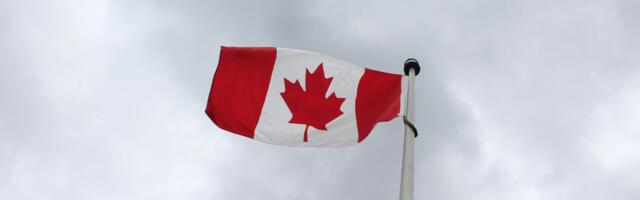 Capital concentrates as Canadian VC market narrows: report