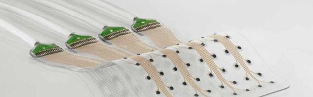 Swiss neurotech startup Neurosoft raises $7.5M to build AI-powered stretchable brain-computer interfaces