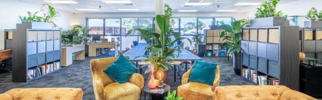 Soto Co opens to the public
