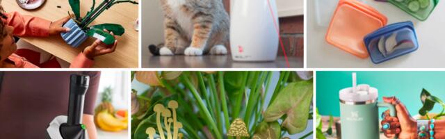 Best gifts under $50 that are great for absolutely everyone