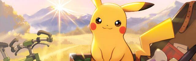 Two brothers admit to stealing more than £71,000 worth of Pokémon TCG cards after failing to escape the police and hide the loot