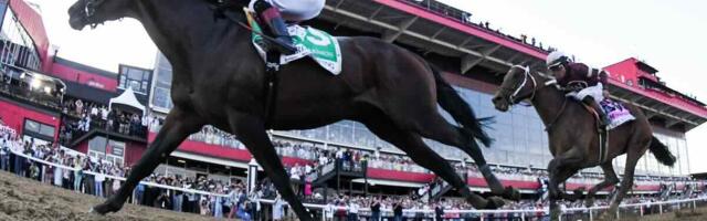 5 Best Betting Apps With Offers For Preakness Stakes 2025