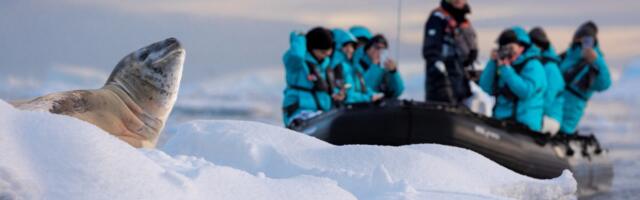 The Climate Risks of Antarctica’s TikTok Tourism Rise