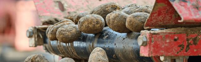 Cellar Insights pockets $500,000 investment to help it protect potatoes