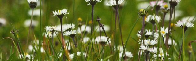 Mental Health Awareness Week: Mental Health at Work is a priority