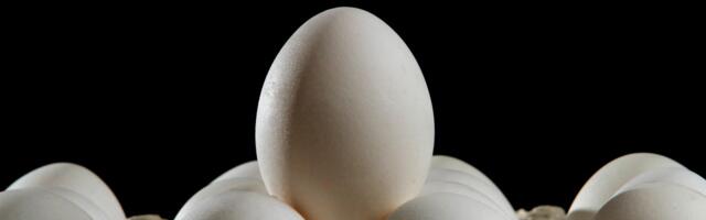 The real reason all of your eggs still aren’t cage-free