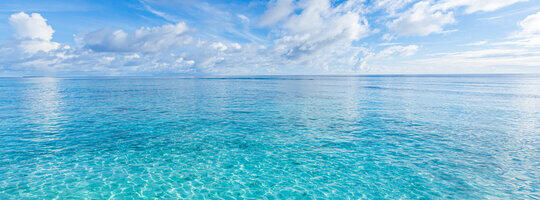 ClearWater — обзор нового шифровальщика