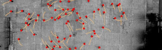 Pedestrians Prefer to Veer Left—and Scientists Have No Idea Why