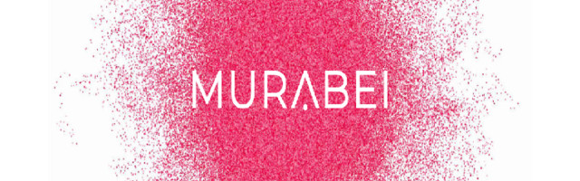 Murabei Data Science – We seek to increase human intelligence, and never replace it