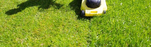 Take It From a Farm Boy, These 5 Lawn-Mowing Mistakes Are Killing Your Grass