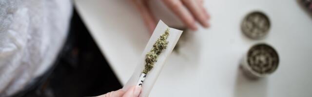 Thailand’s Marijuana Sellers Tip Tourism Rush After Cannabis Decriminalization