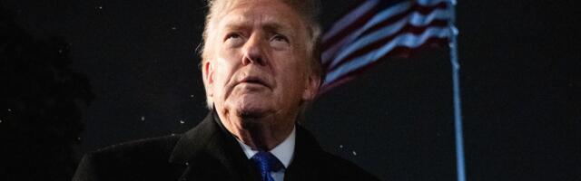 The Art of the Steal