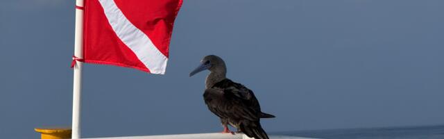 [Перевод] Разработчик нашёл уязвимость у страховщика и оказался на грани юридического разбирательства
