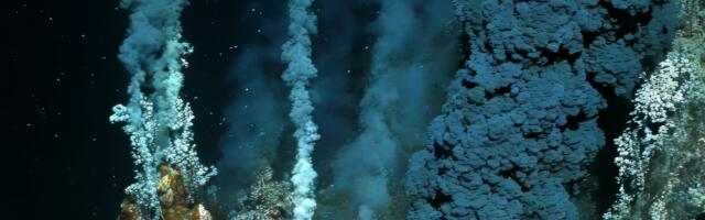 Intraterrestrials: The Most Alien Life We’ve Ever Seen Is Right Beneath Our Feet