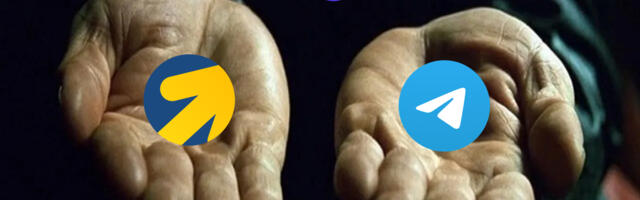 Привели через Telegram Ads 2,5K подписчиков и очередь из горячих клиентов