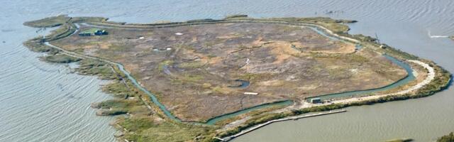 Once listed for $70 million, controversial private Bay Area island to be auctioned off