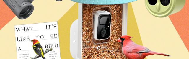 The 15 Best Tried and Tested Gifts for Bird Lovers (2025)