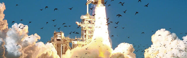 Невидимая рука предубеждений в архитектуре ПО: размышление о влиянии когнитивных искажений на вектор развития компаний