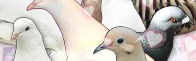 Epic Games "looking into" missing royalties for Hatoful Boyfriend creator