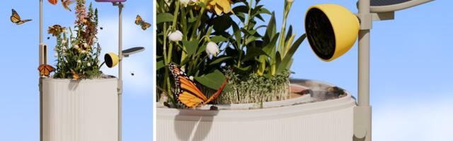 Bird Buddy’s Next Smart Gadget Isn’t Just for Birds—It’s for Saving Pollinators Too