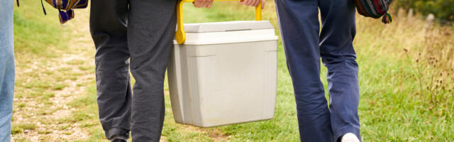 Does The Color Of Your Insulated Cooler Truly Matter? Here's What You Should Know
