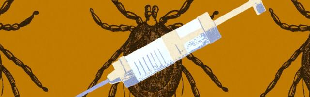 Ticks are spreading Lyme disease across America, but we can beat them. Here’s how.