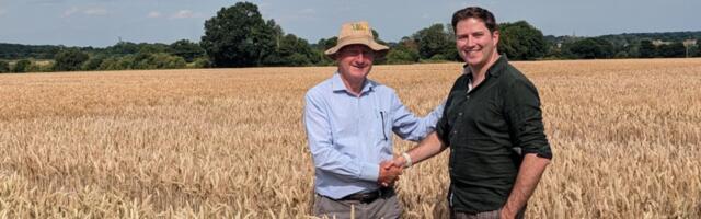 Wild Bio acquires F1 Seed to create Britain’s first independent precision-breeding wheat business
