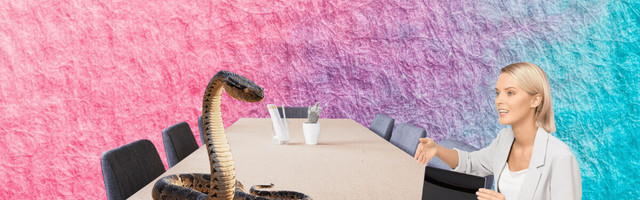 Why Python is not the programming language of the future