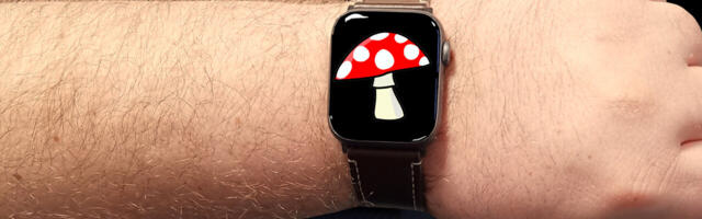European researchers are using fungi in the fight against e-waste
