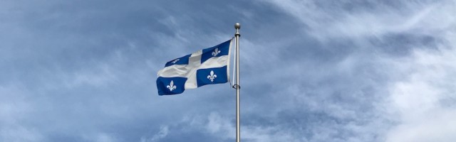 With $29 million, MAIN Québec renews startup coaching program to support 375 startups
