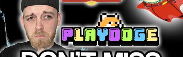 3 Best Crypto Presales to Invest in 2024 – Base Dawgz, Sealana, and PlayDoge