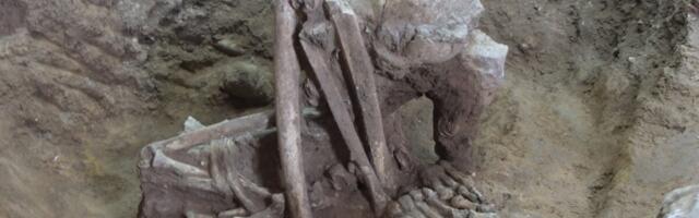 These Smoked Human Remains May be the Oldest Mummies Known to Science