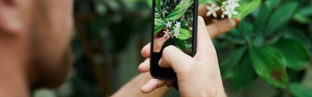 Here’s a smarter way to store your files without endless subscription fees