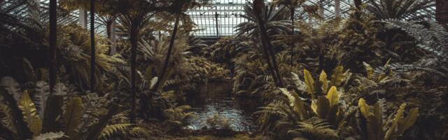Host in Ireland Launches New Ecosystem Report