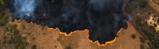 Can satellites spot wildfires before they grow out of control?