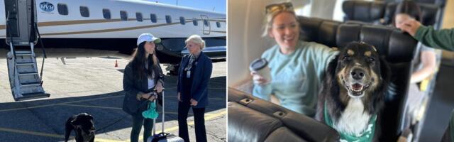 This 'Shark Tank'-backed airline lets big dogs fly in the cabin. Fares average $775.