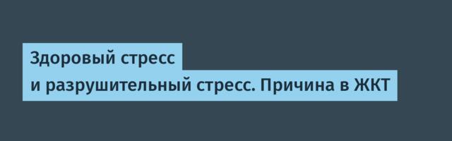 Здоровый стресс и разрушительный стресс. Причина в ЖКТ