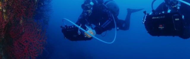 WSense raise €9M for underwater wireless communication 'harnessing the ocean's untapped potential'
