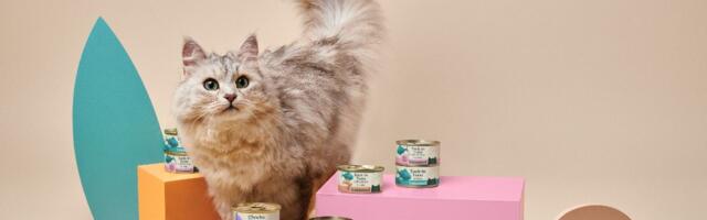 London-based Untamed secures  €11.6M to improve diet options for cats