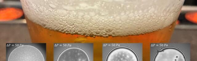 Scientists unlock secret to thick, stable beer foams