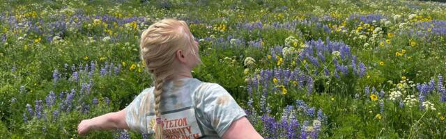 I moved to rural Colorado for a job that didn't work out. Three years later, I'm still in the area and glad I stayed.