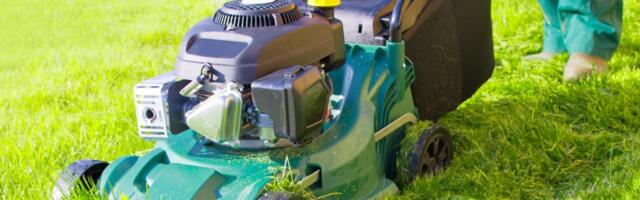 Are Mulching Mowers Worth It? Here's What Users Are Saying