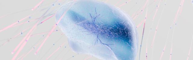 What neuroscience reveals about people who replay conversations in their head for hours after they happen