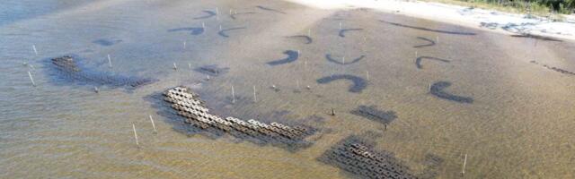 Pentagon Think Tank Tests Ingenious Plan to Protect Coasts From Hurricanes—and It’s Working