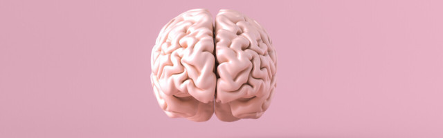 This mathematical brain model may pave the way for more human-like AI