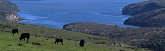 Lawsuit alleges ‘conspiracy’ in Point Reyes farmland deal