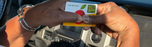 I went from making $200,000 a year to using SNAP. Here's what I wish people knew about government assistance.